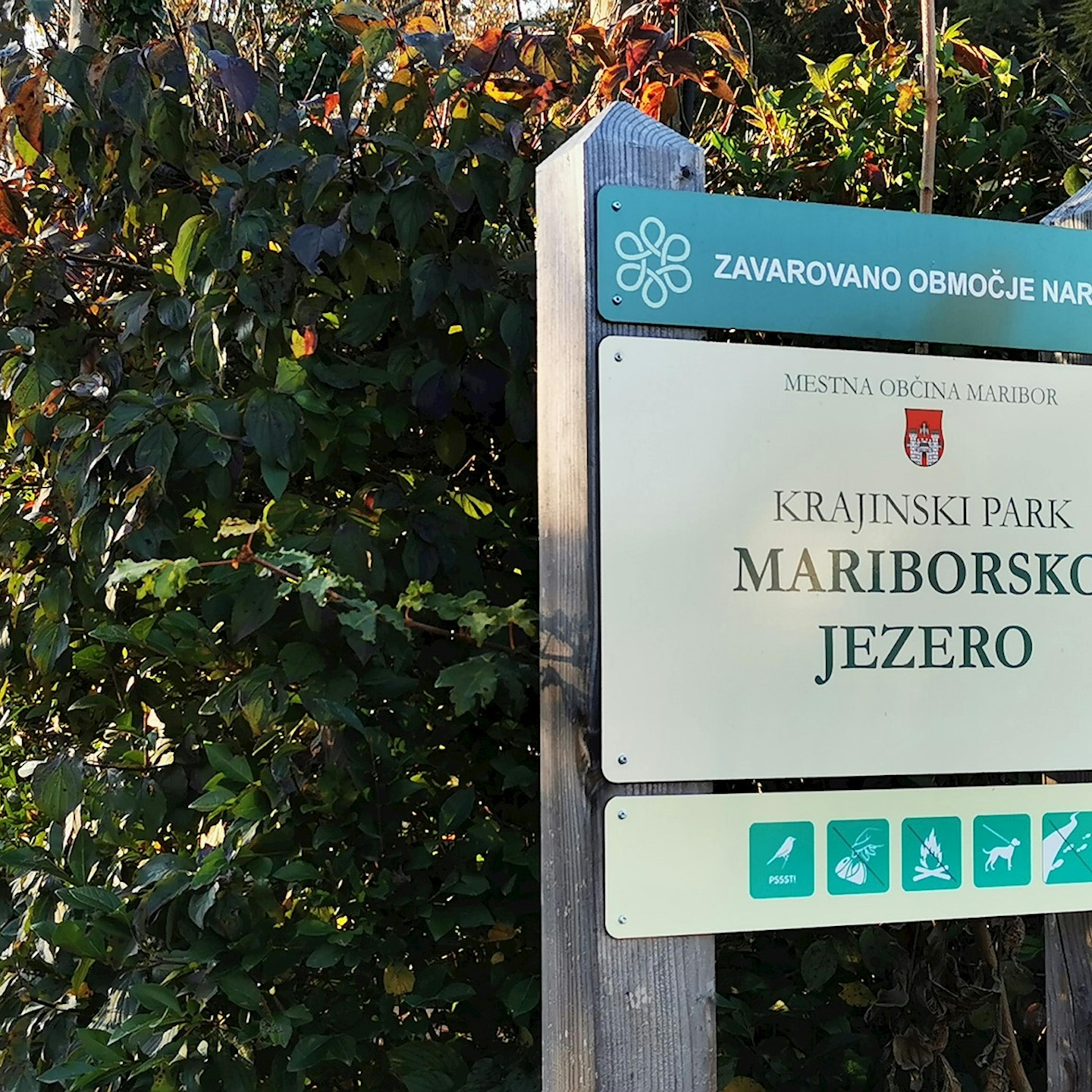 ski-park-mariborsko-jezero_junij-2020_karmen-razlag-1
